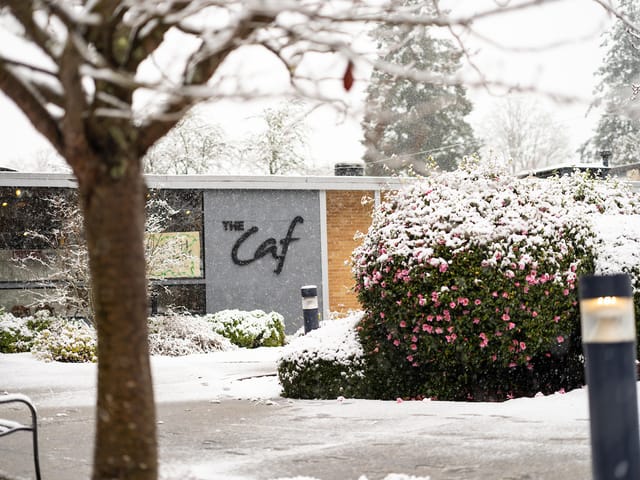 A spring snowfall outside The Caf, the campus dining hall, with pink rhododendrons in bloom