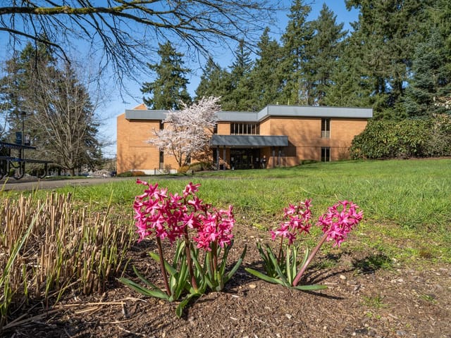 The campus library behind a bed of pink hyacinths and a flowering cherry tree